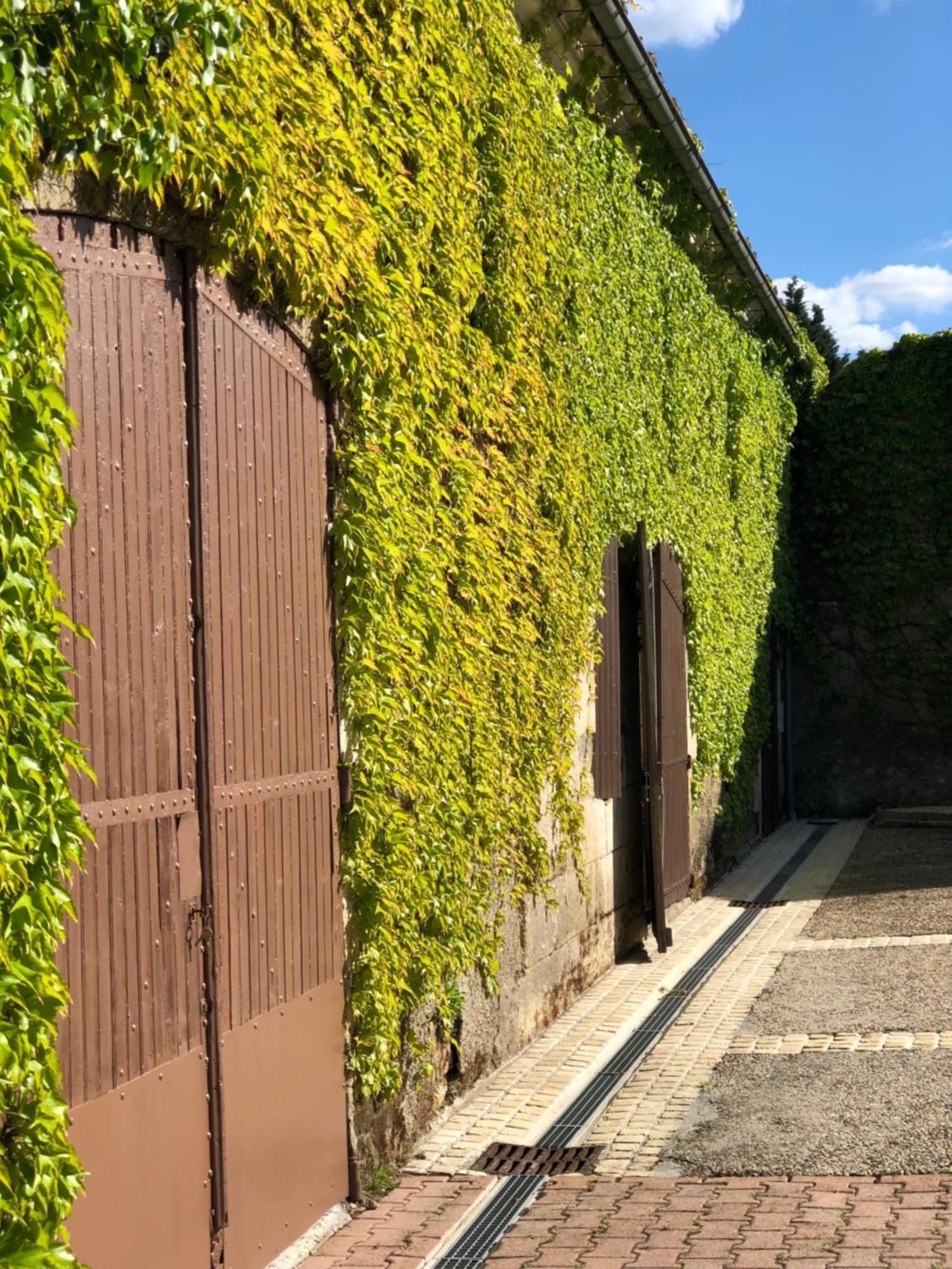Le Domaine Du Haut Preau Saint-Palais-de-Negrignac Ngoại thất bức ảnh